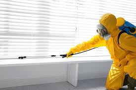 Best Termite Inspection and Treatment  in Monroe, LA